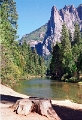 Sequoia - Yosemite